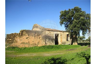 Quinta Venda Em Malpica Do Tejo Castelo Branco Re Max Portugal