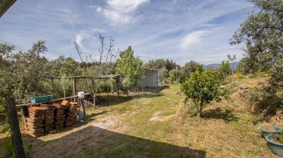 Terreno Venda Em Tondela E Nandufe Tondela Re Max Portugal