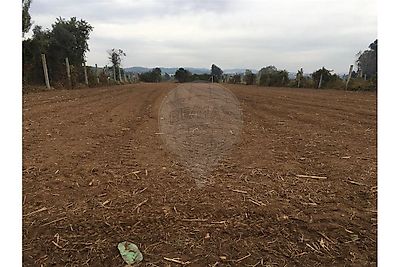 Terreno Venda Em Bougado S O Martinho E Santiago Trofa Re Max