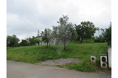 Terreno Venda Em Santa Clara E Castelo Viegas Coimbra Re Max Portugal