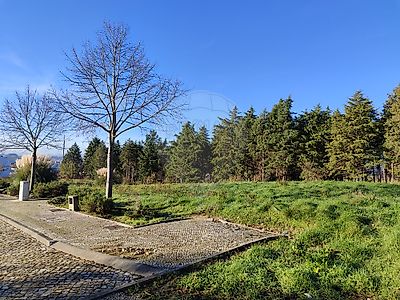 Terreno Venda Em Condeixa A Velha E Condeixa A Nova Condeixa A Nova