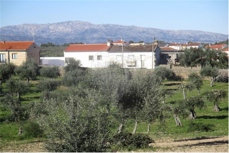 Quinta T Venda Em Castelo Branco Castelo Branco Re Max