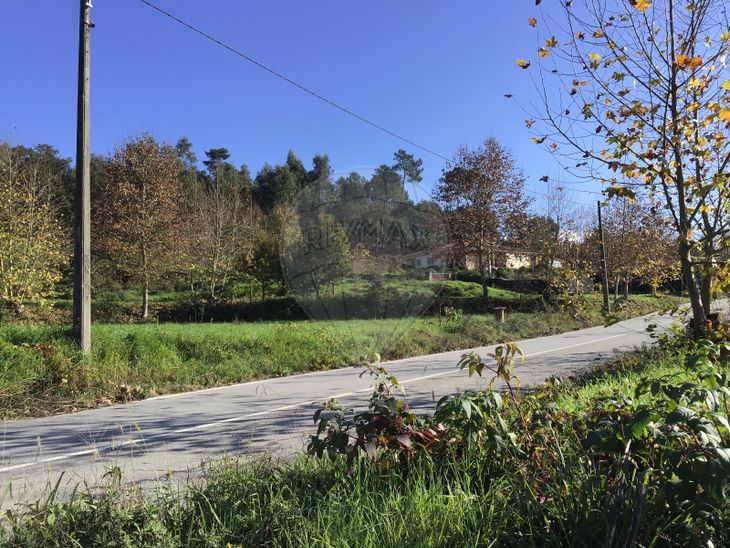 Terreno Venda Em Canedo De Basto E Corgo Celorico De Basto Re Max