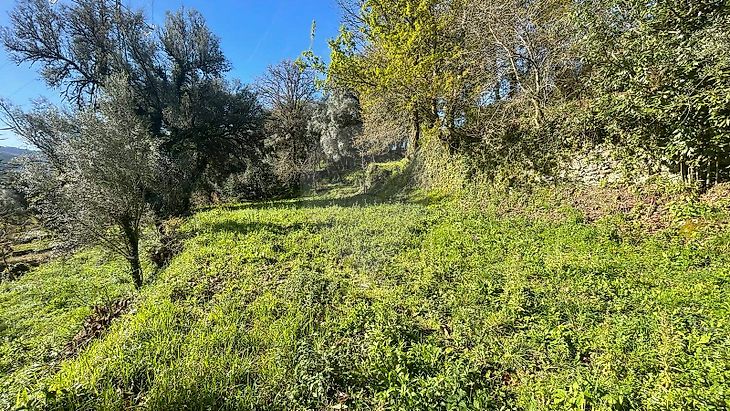 Terreno Venda Em Oriz Santa Marinha E Oriz S O Miguel Vila Verde