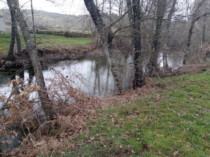 Terreno Venda Em Sabugal E Aldeia De Santo Ant Nio Sabugal Re Max