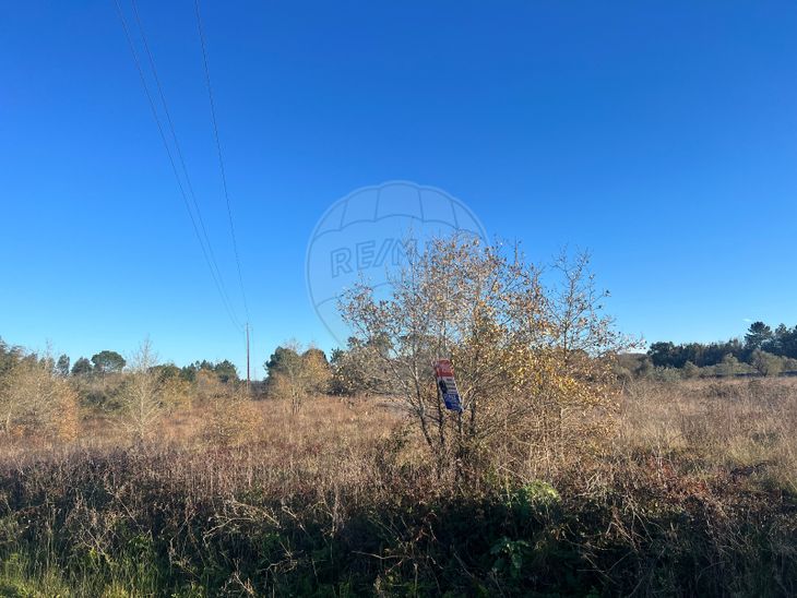 Terreno Venda Em Sebal E Belide Condeixa A Nova Re Max