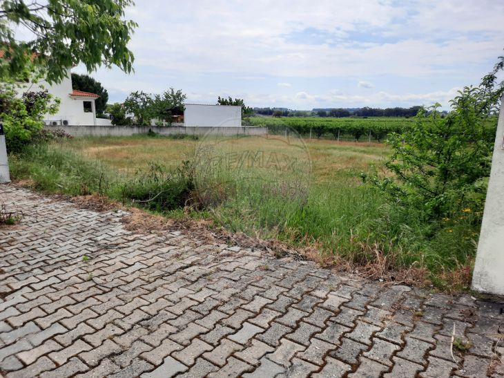 Terreno à venda em Lardosa Castelo Branco RE MAX