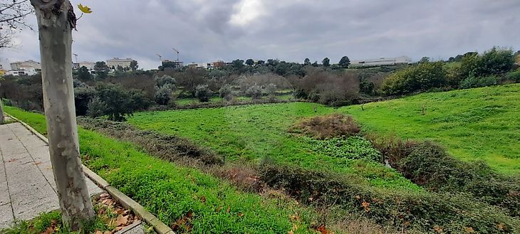 Terreno à venda em Castelo Branco Castelo Branco RE MAX