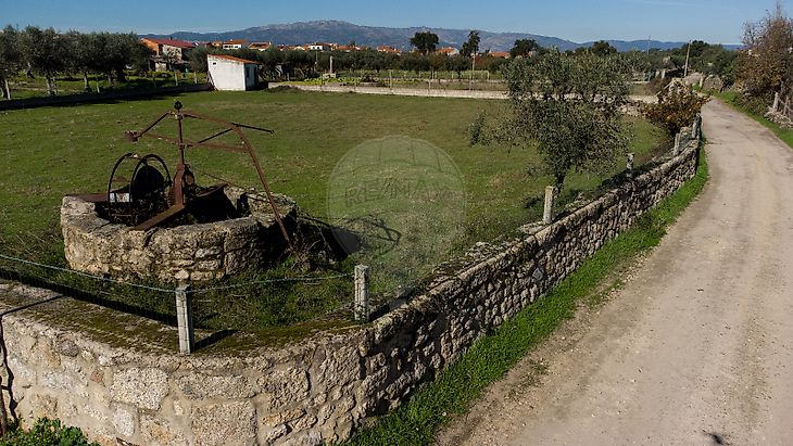 Terreno Venda Em Lardosa Castelo Branco Re Max