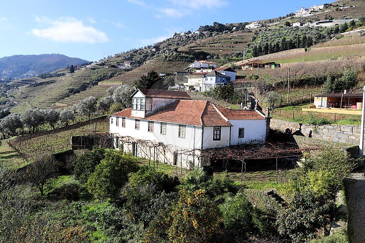 Quinta à venda em Mesão Frio Santo André Mesão Frio RE MAX