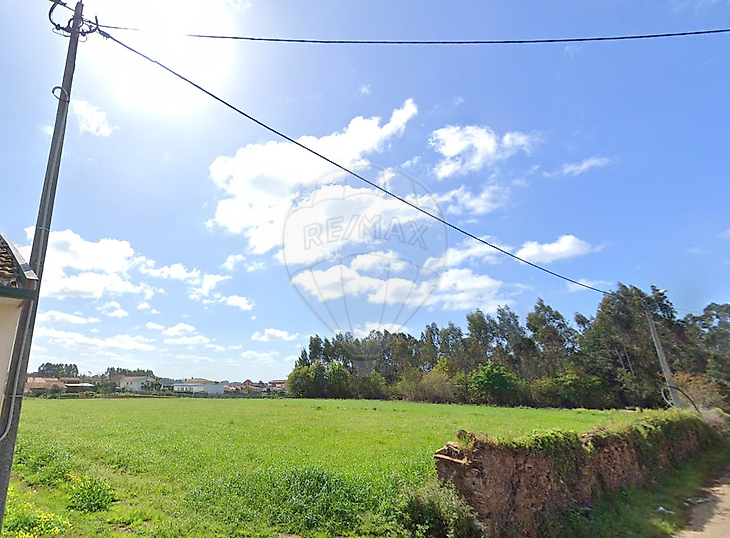 Terreno Venda Em Loureiro Oliveira De Azem Is Re Max