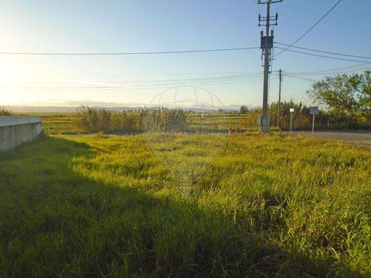 Terreno Venda Em Samora Correia Benavente Re Max