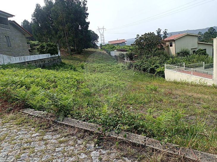 Terreno à venda em Sobreira Paredes RE MAX