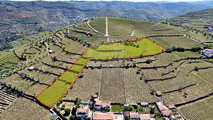 Terreno à venda em Lobrigos São Miguel e São João Baptista e Sanhoane