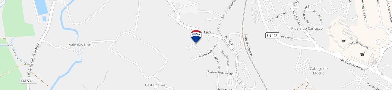 development-map-picture
