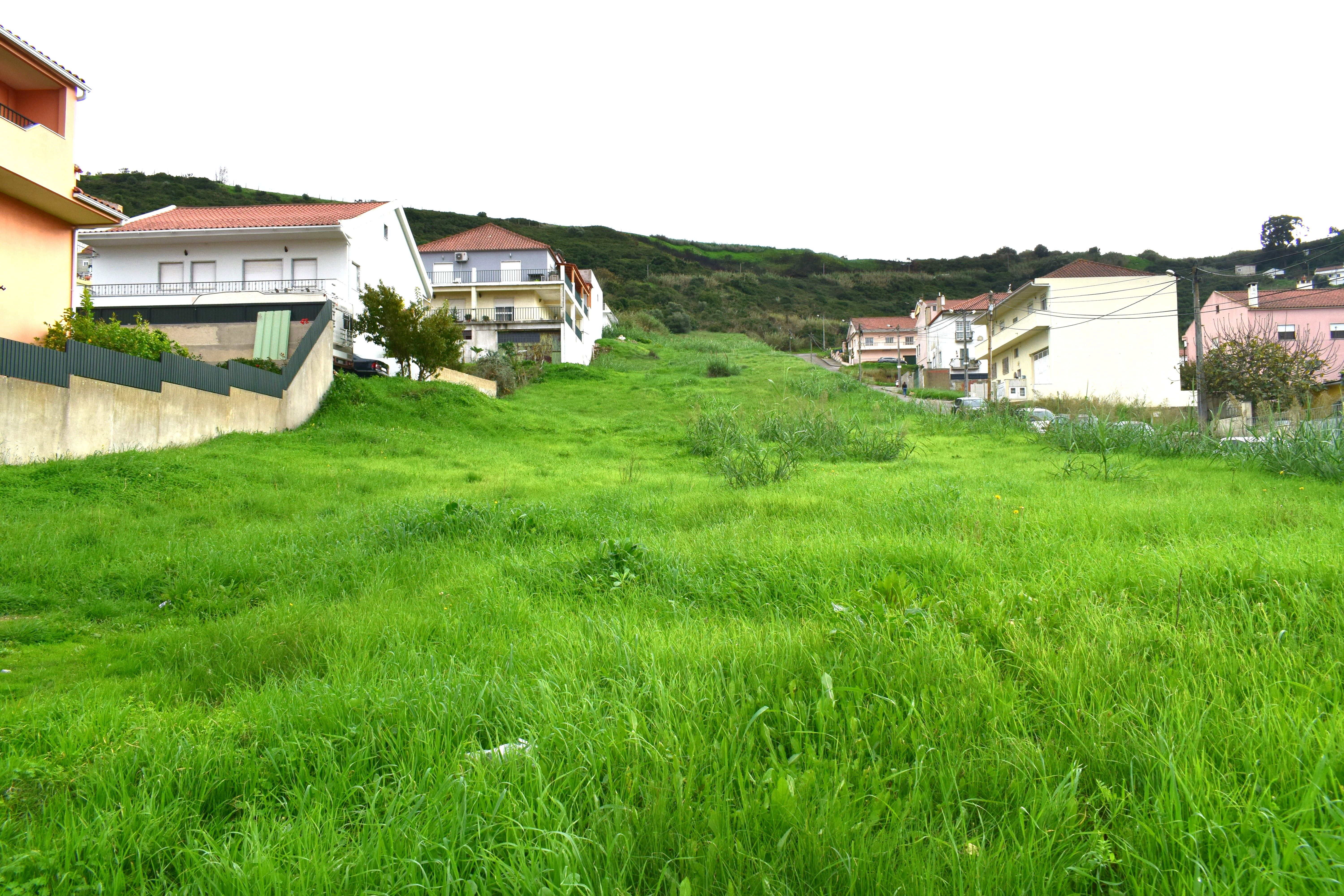 Terreno