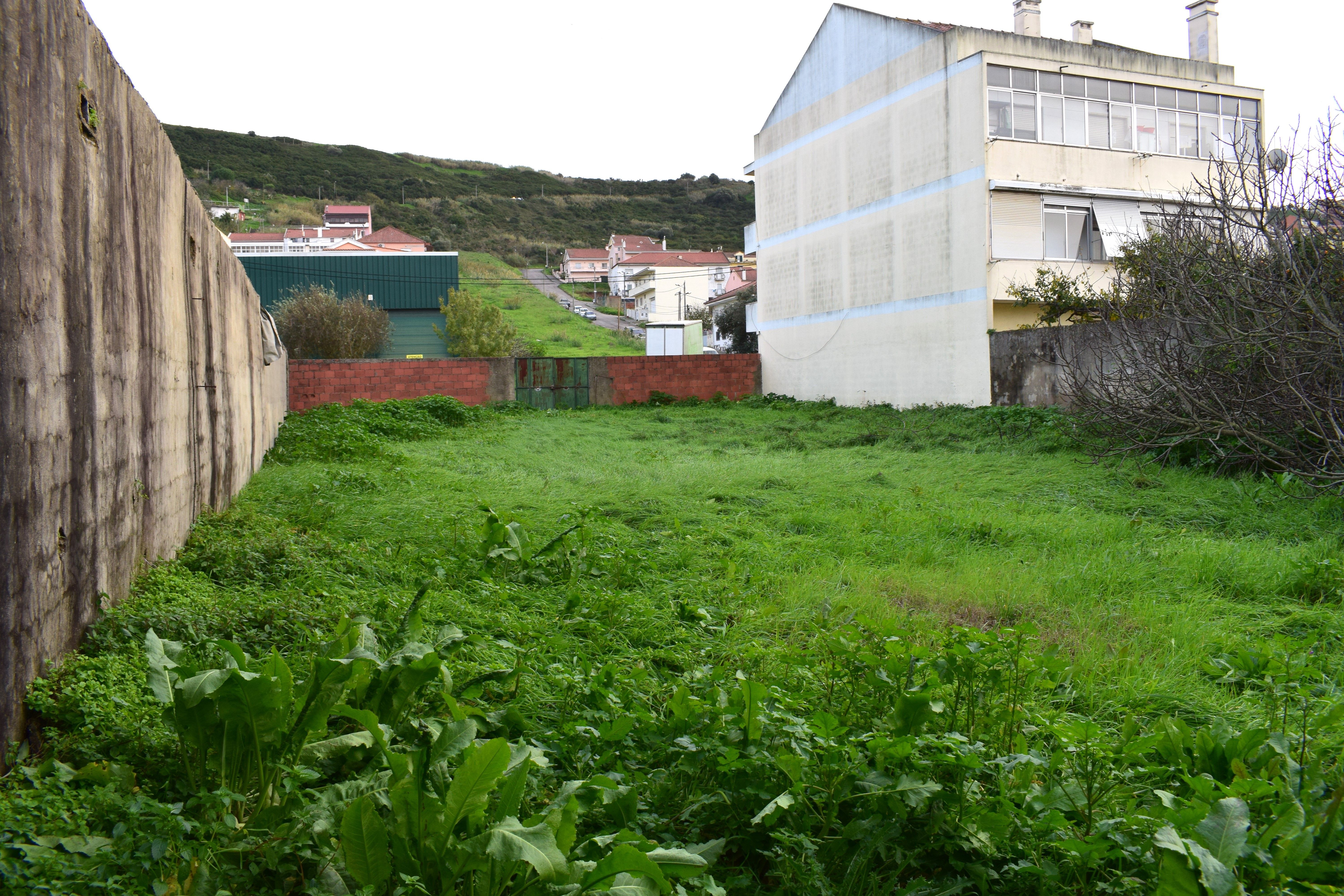 Terreno