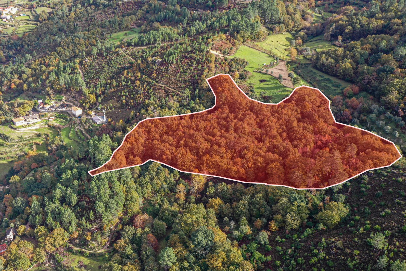 Terreno