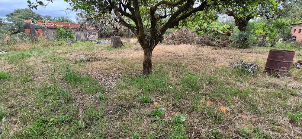 Terreno