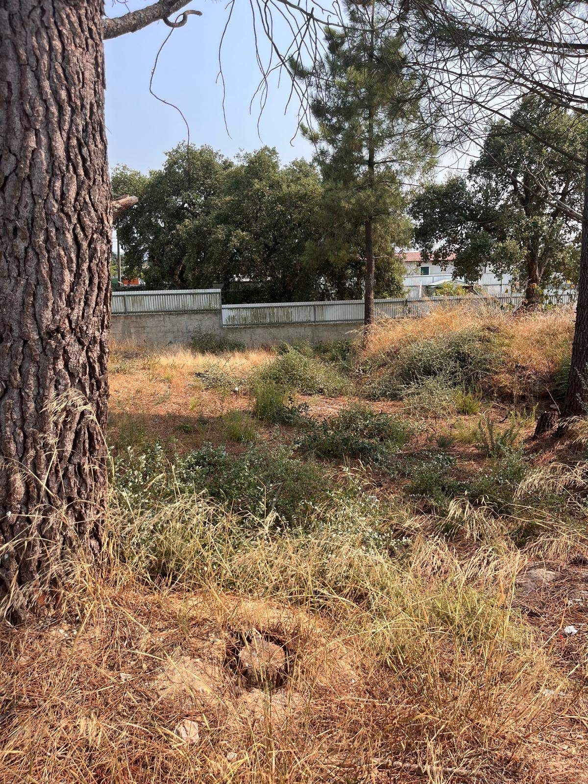 Terreno