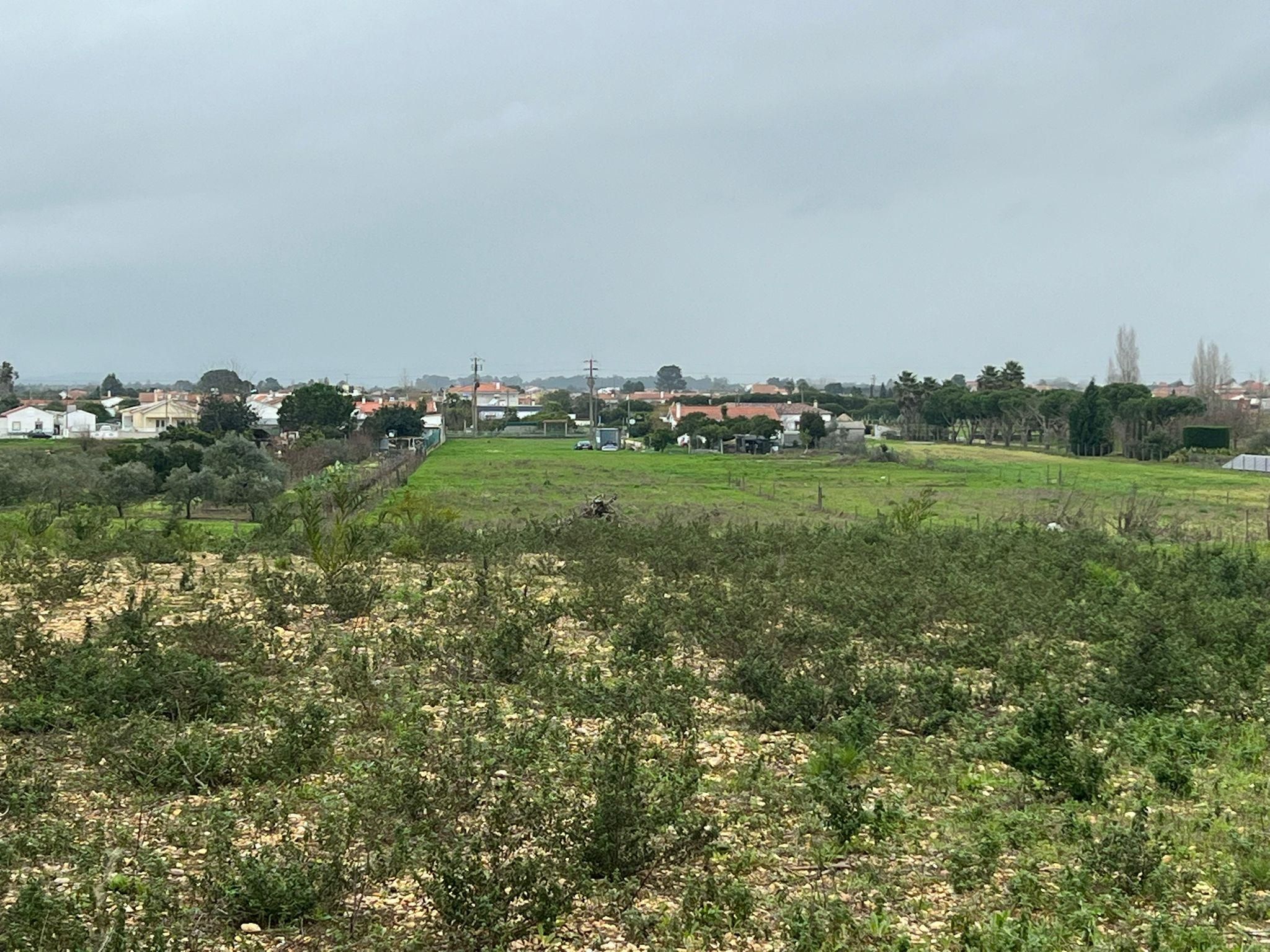 Terreno