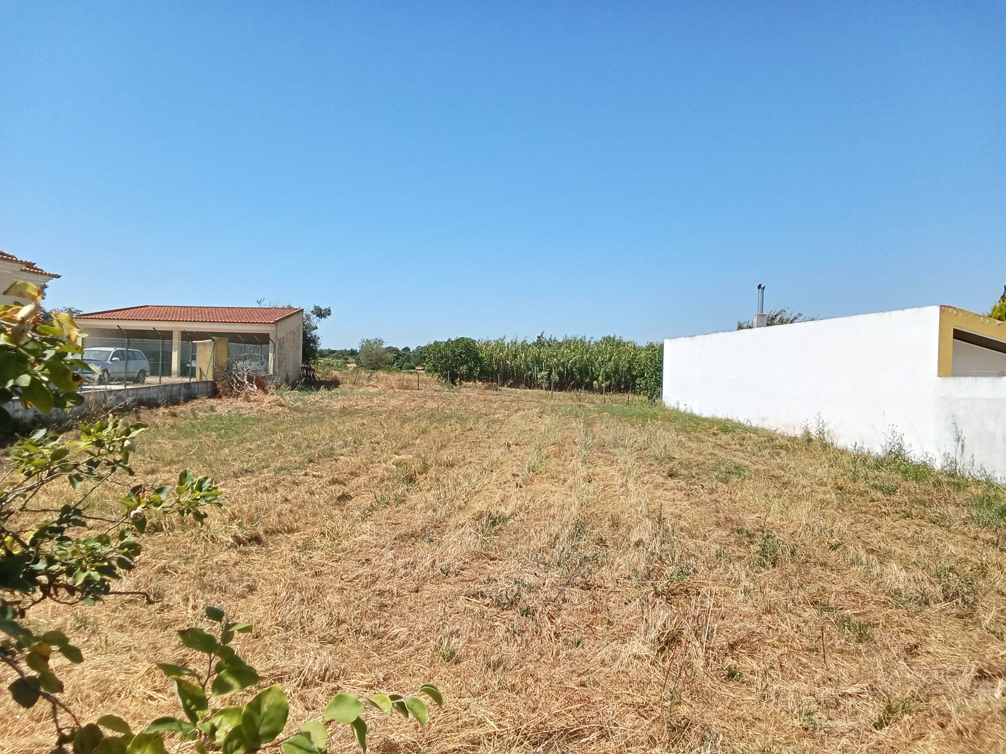 Terreno