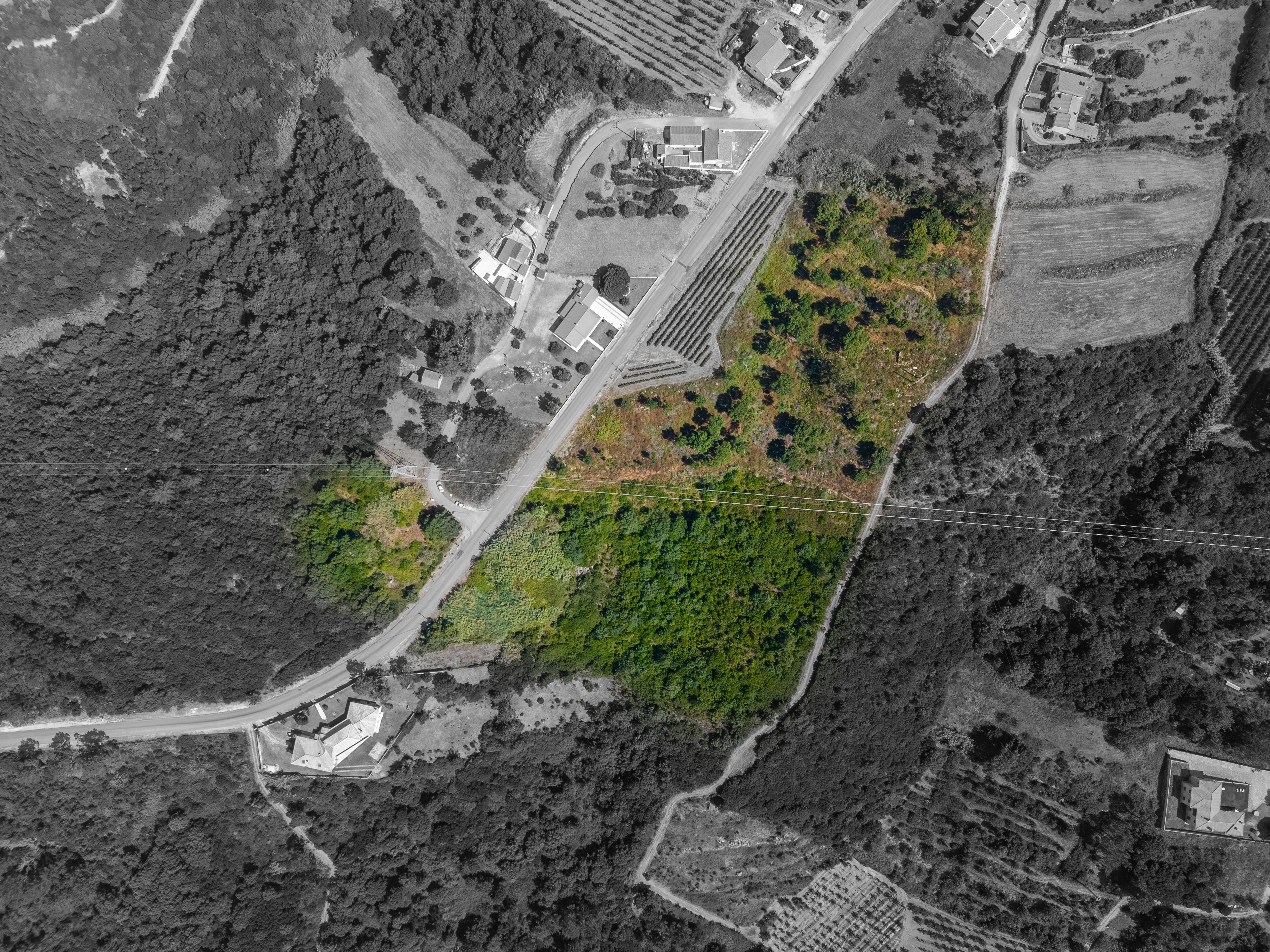 Terreno