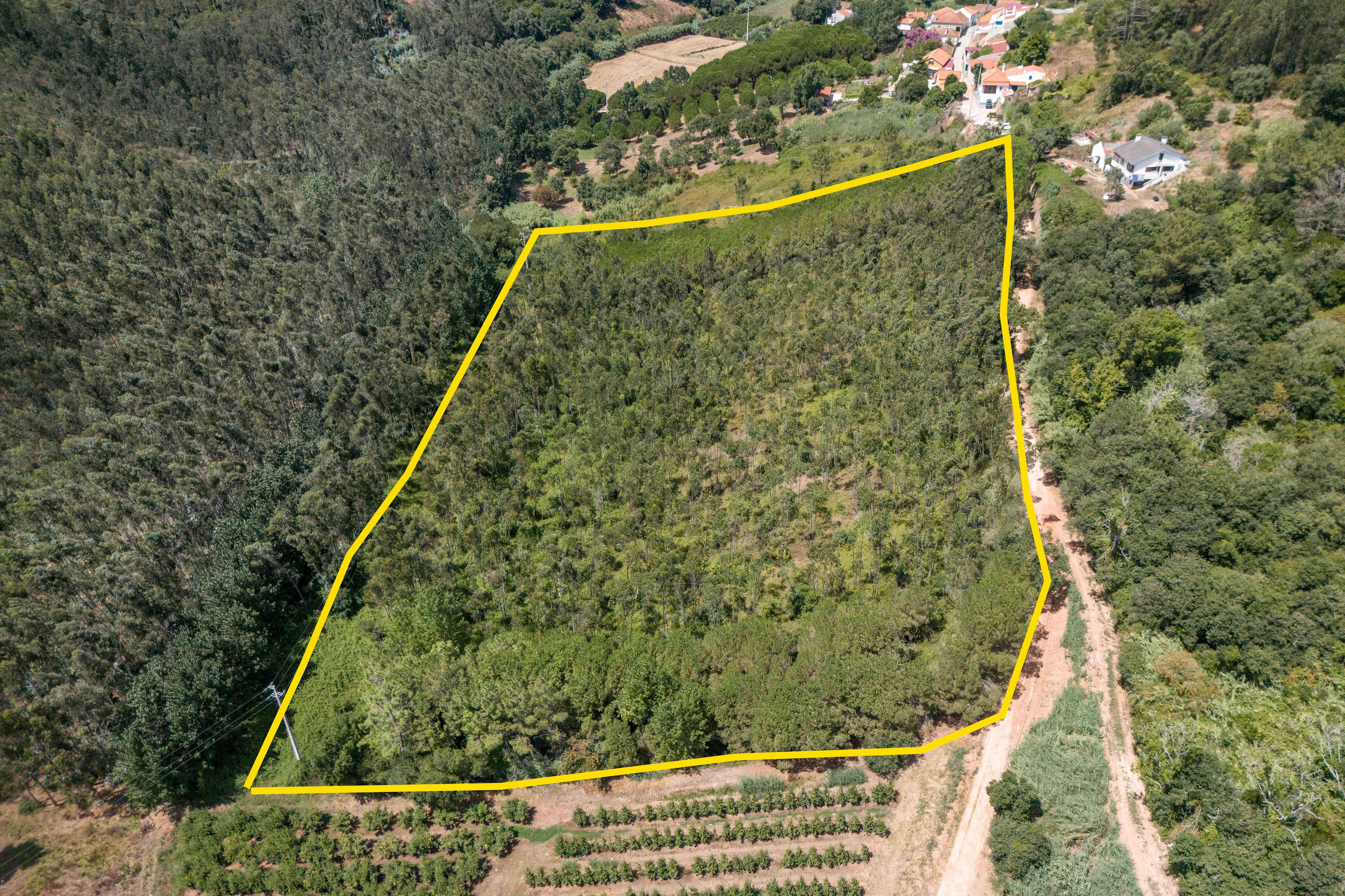 Terreno