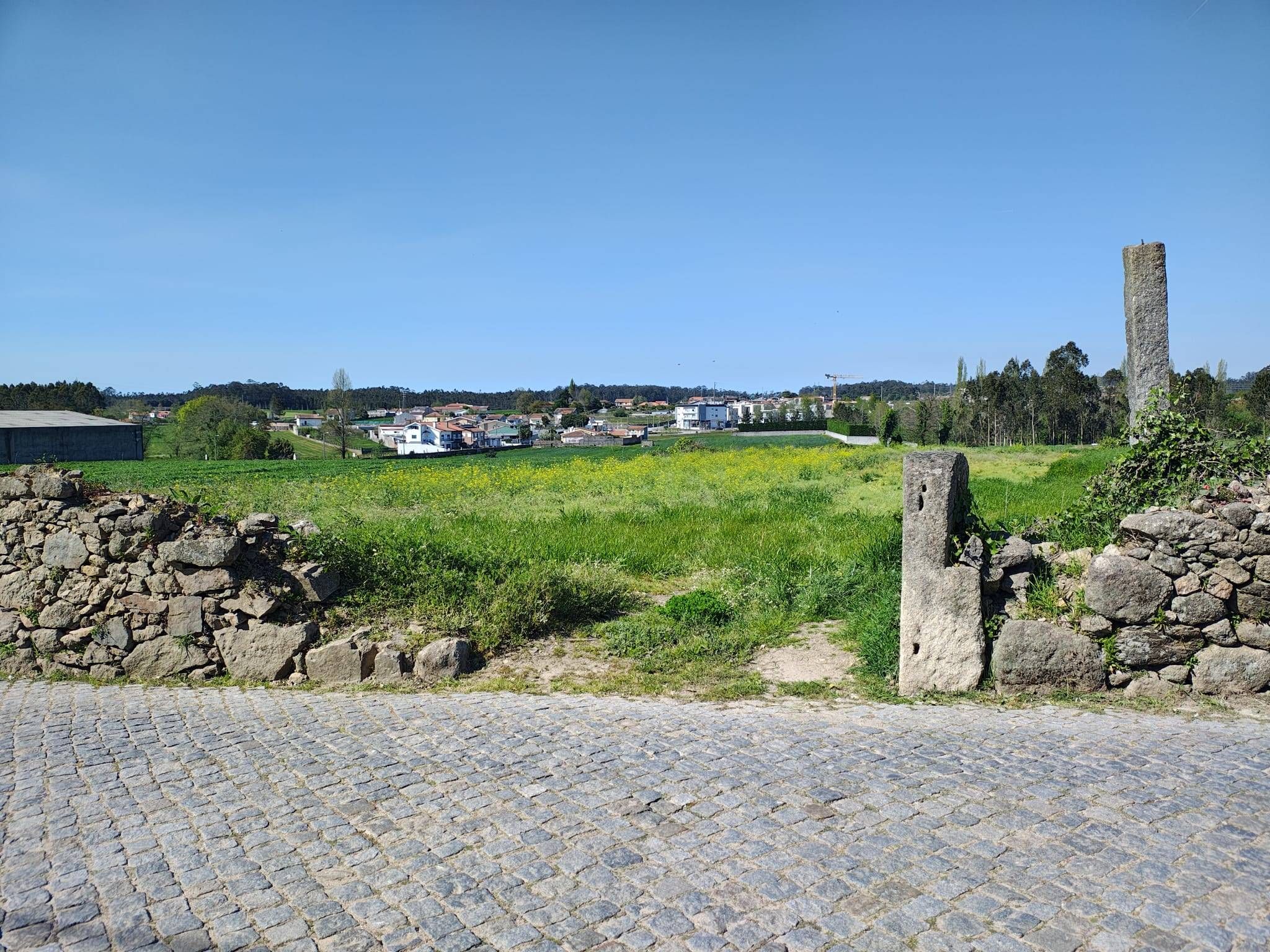 Terreno