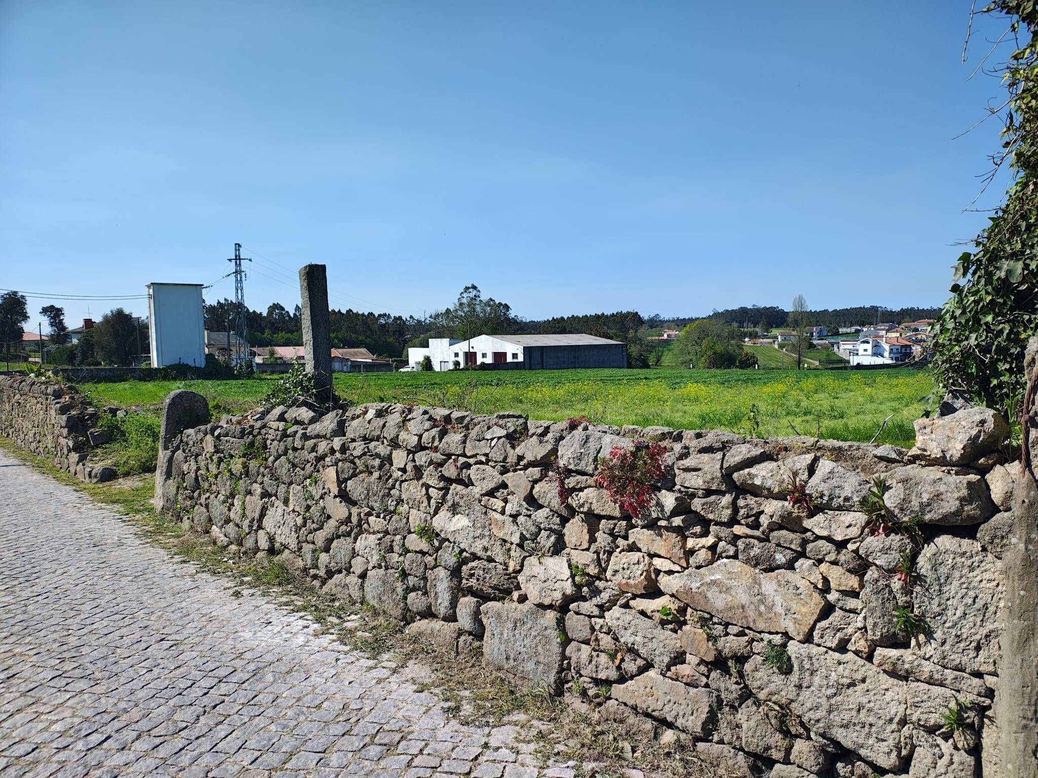 Terreno