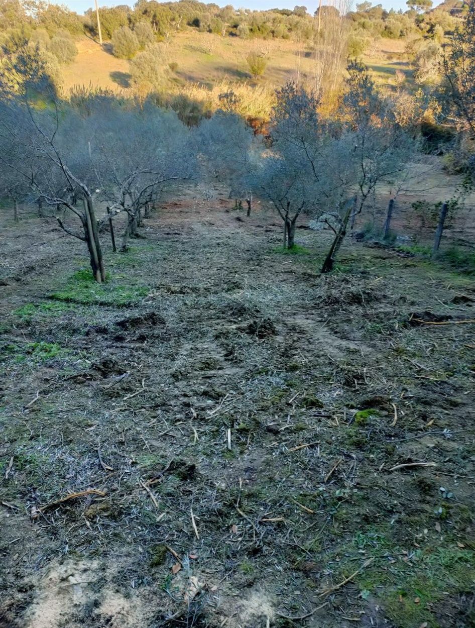 Terreno