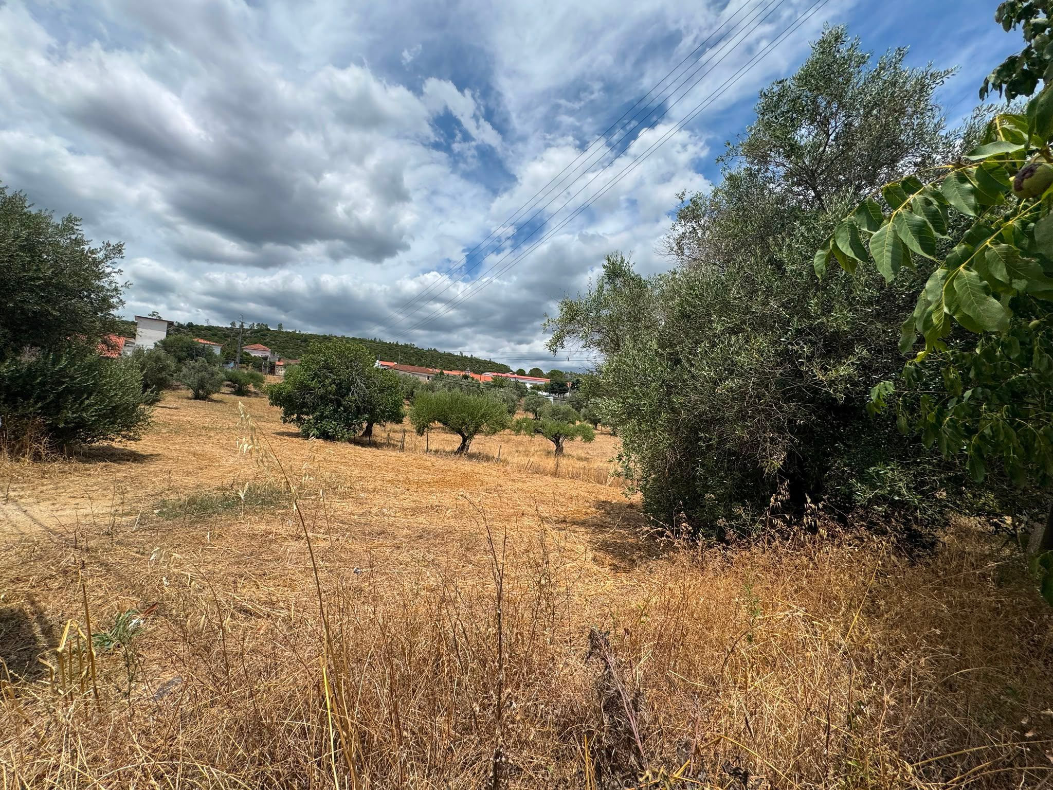 Terreno