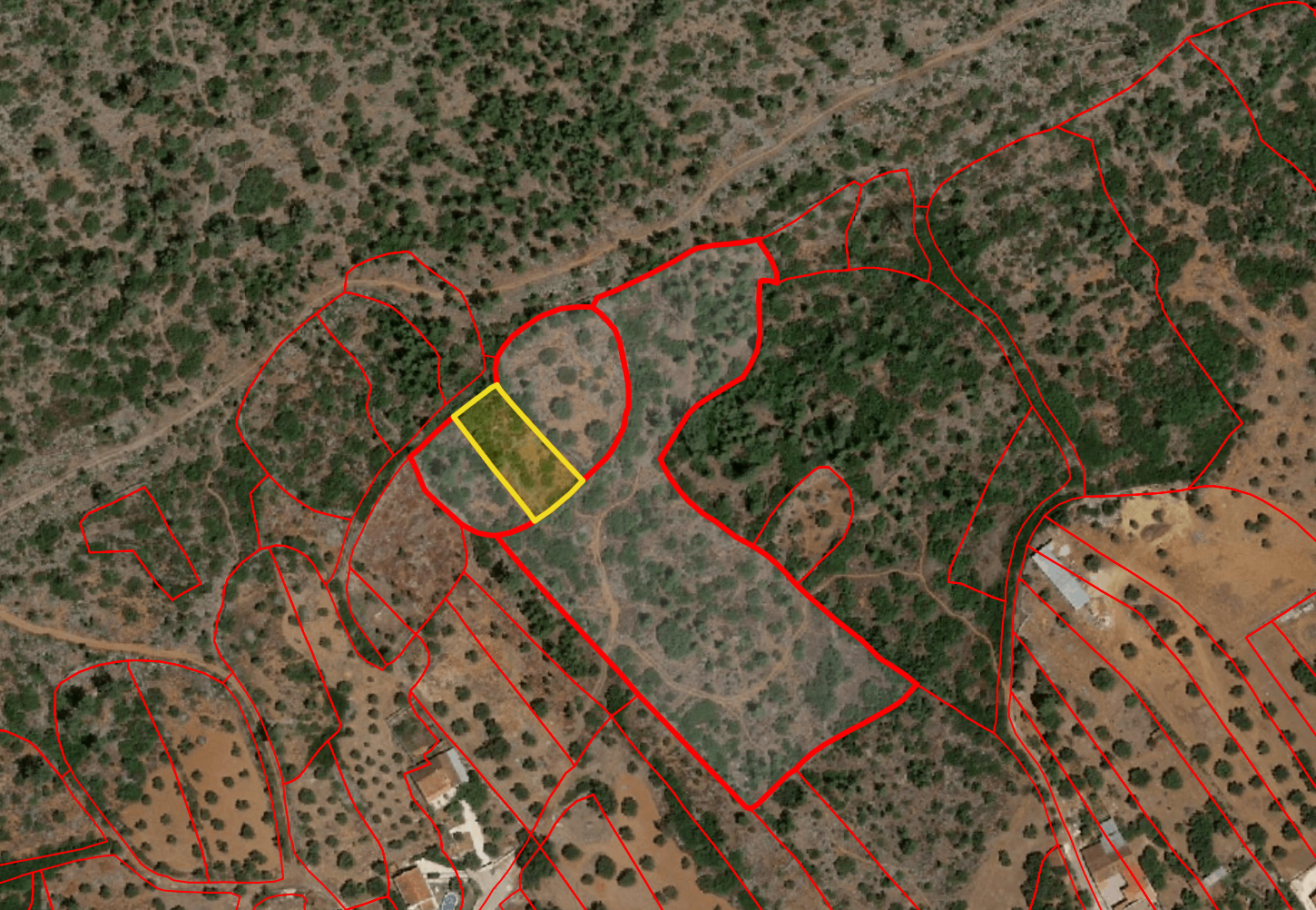 Terreno