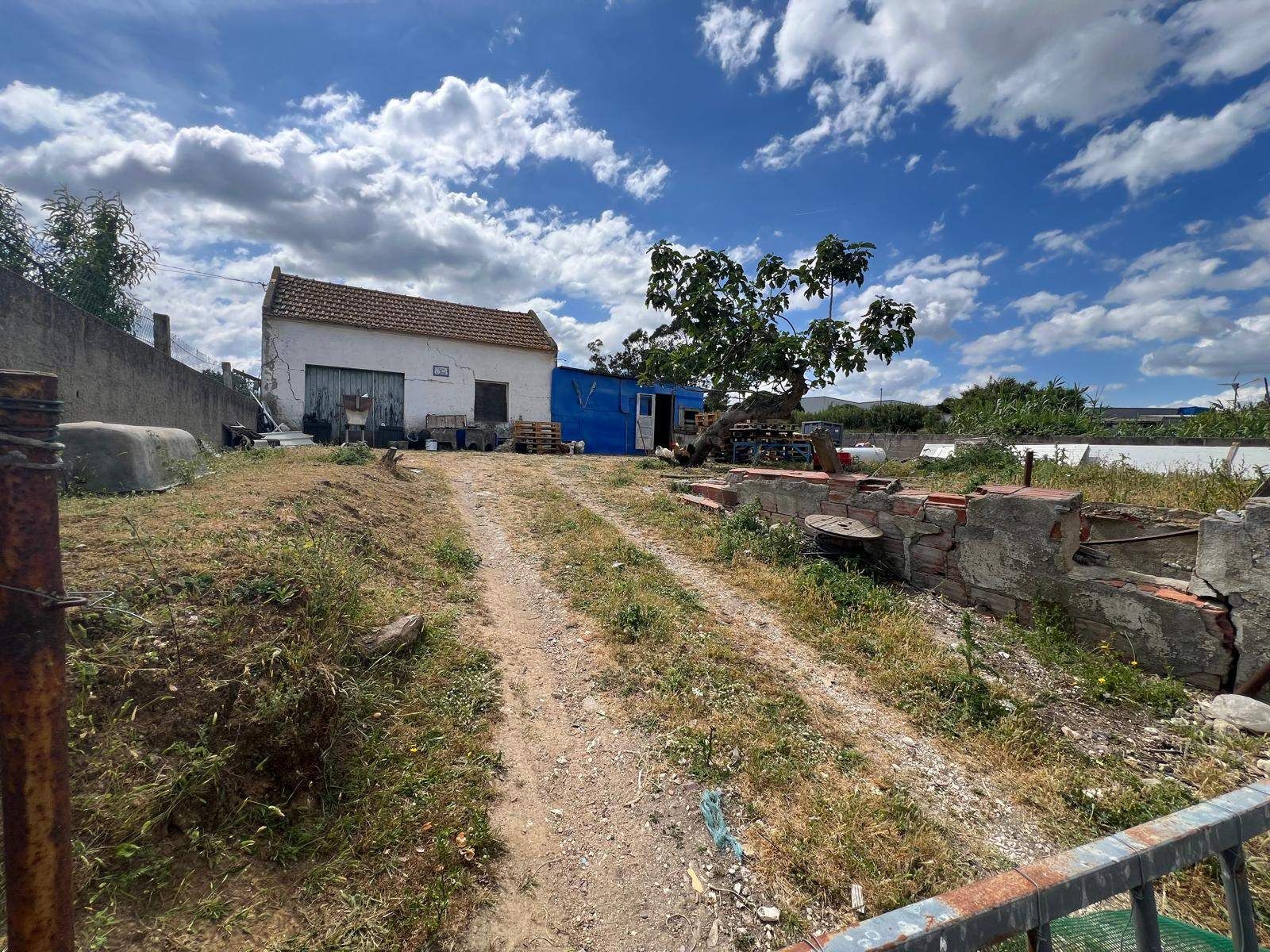 Terreno