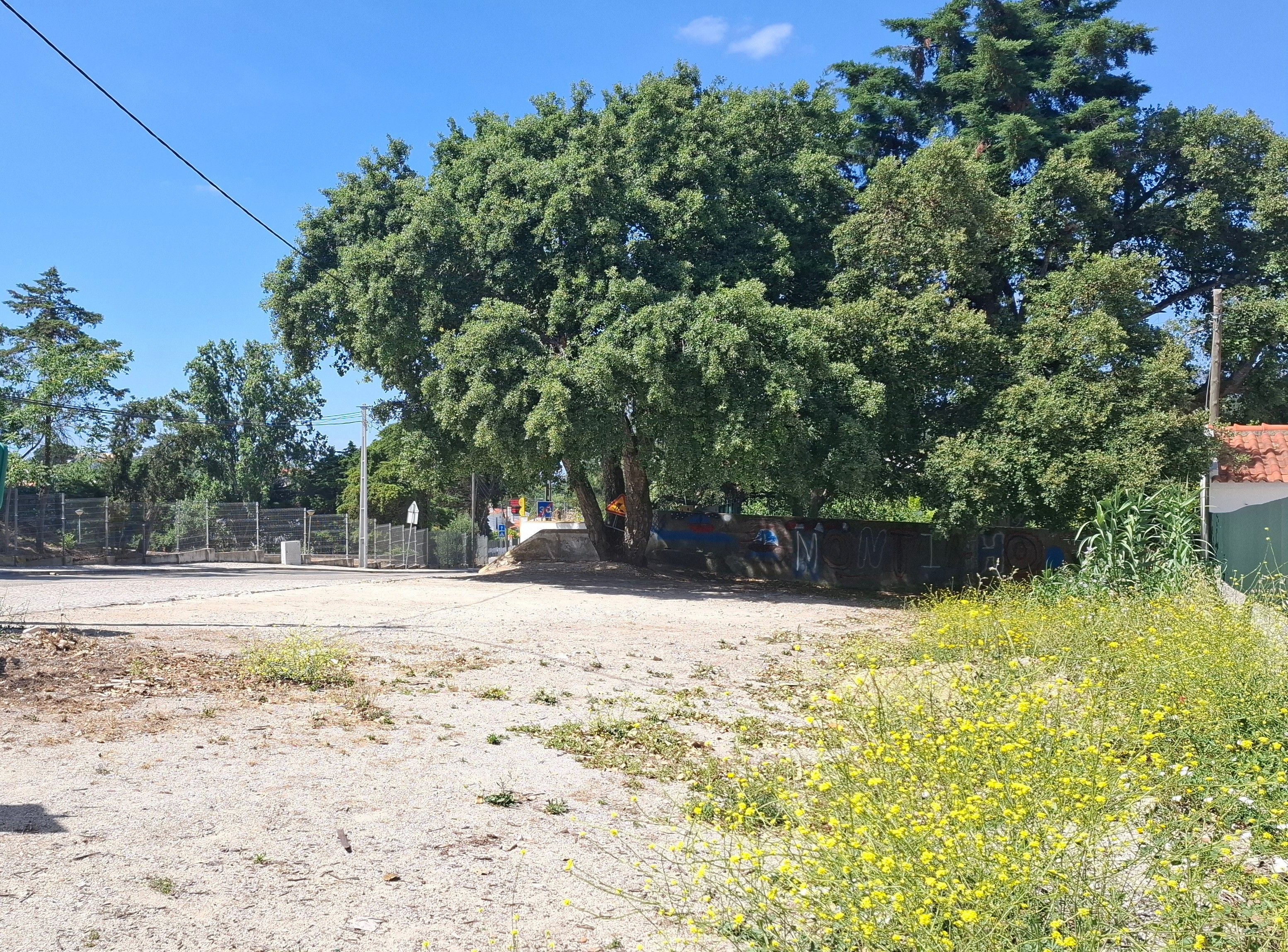 Terreno