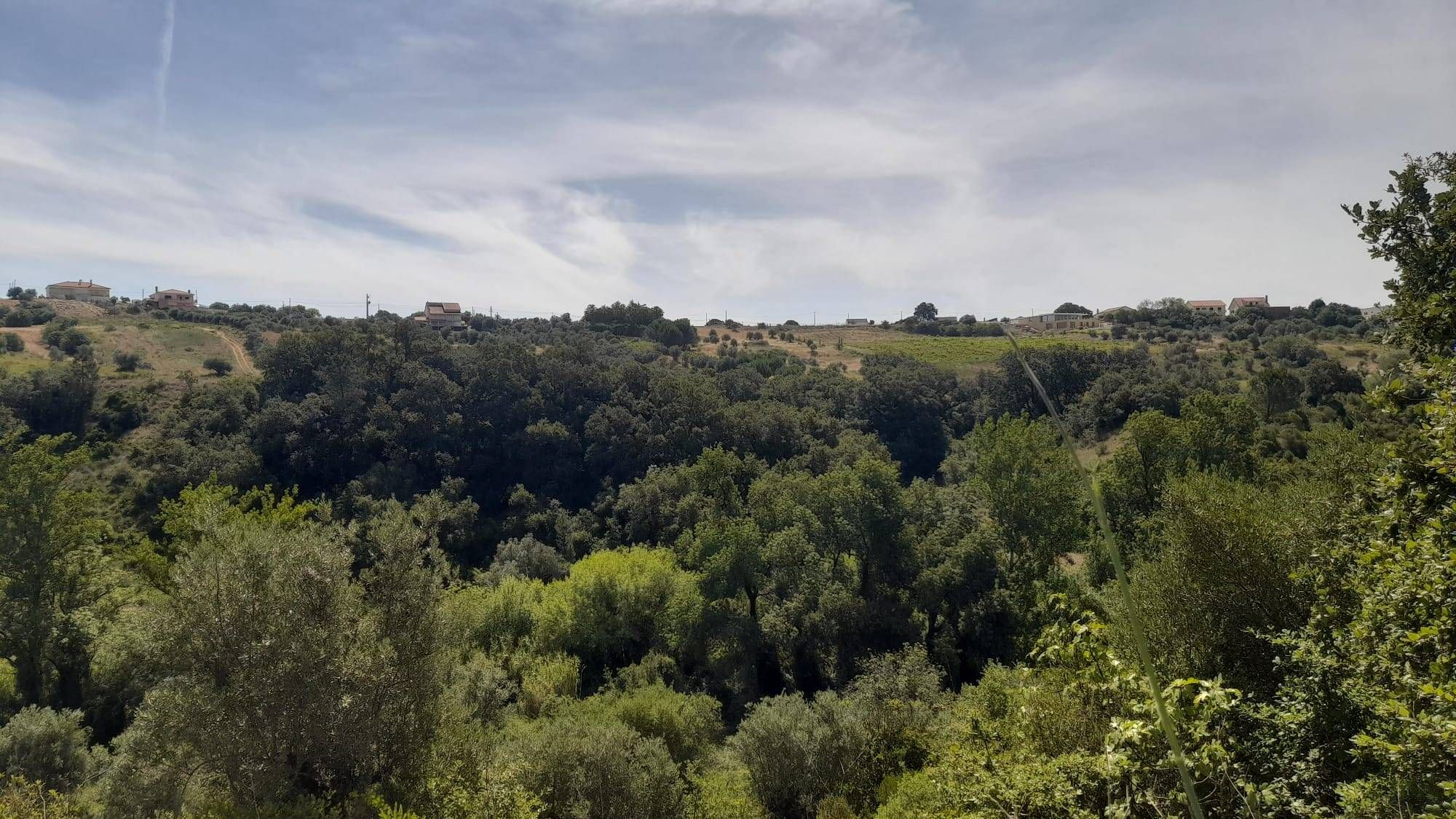 Terreno