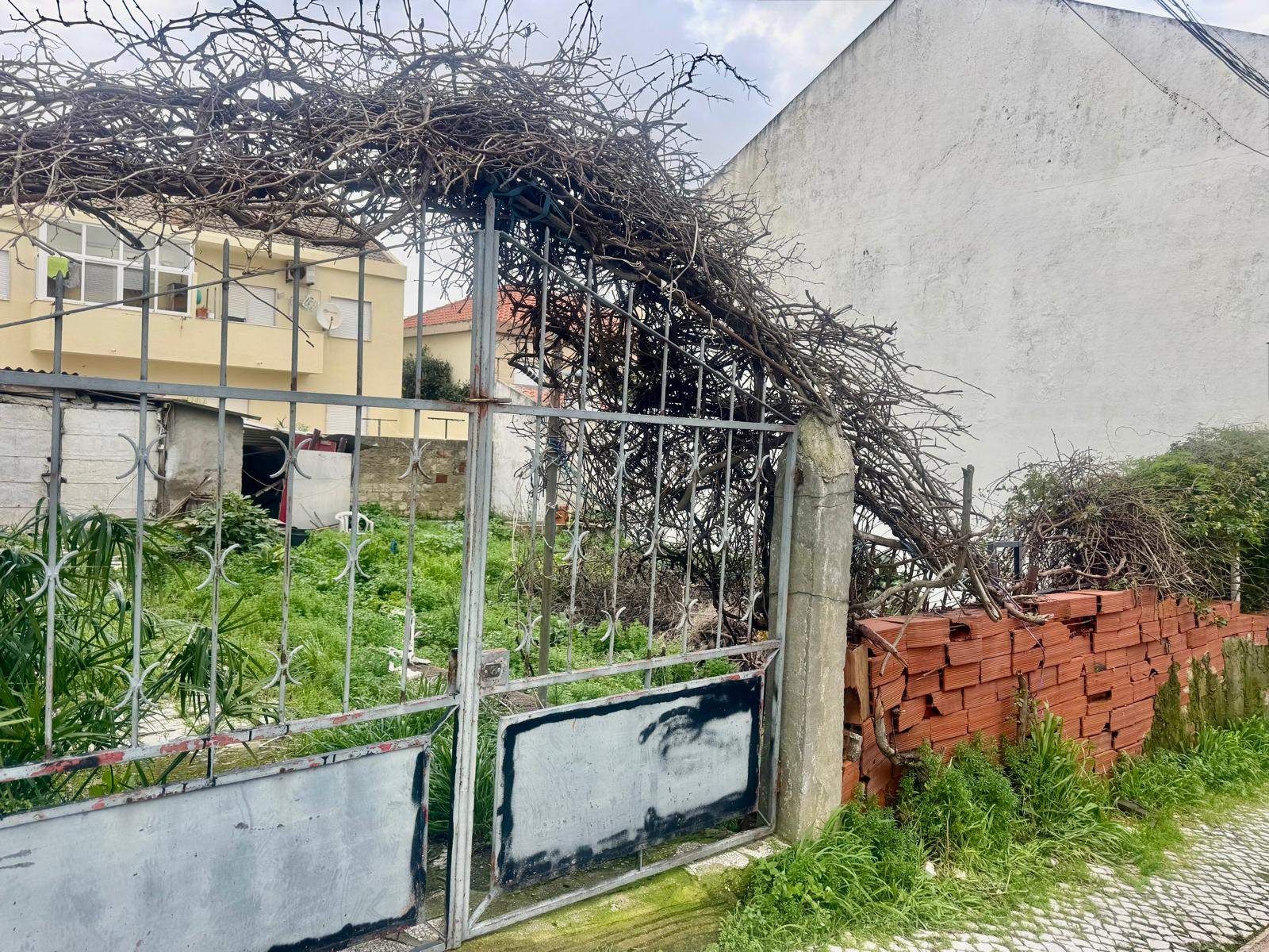 Terreno