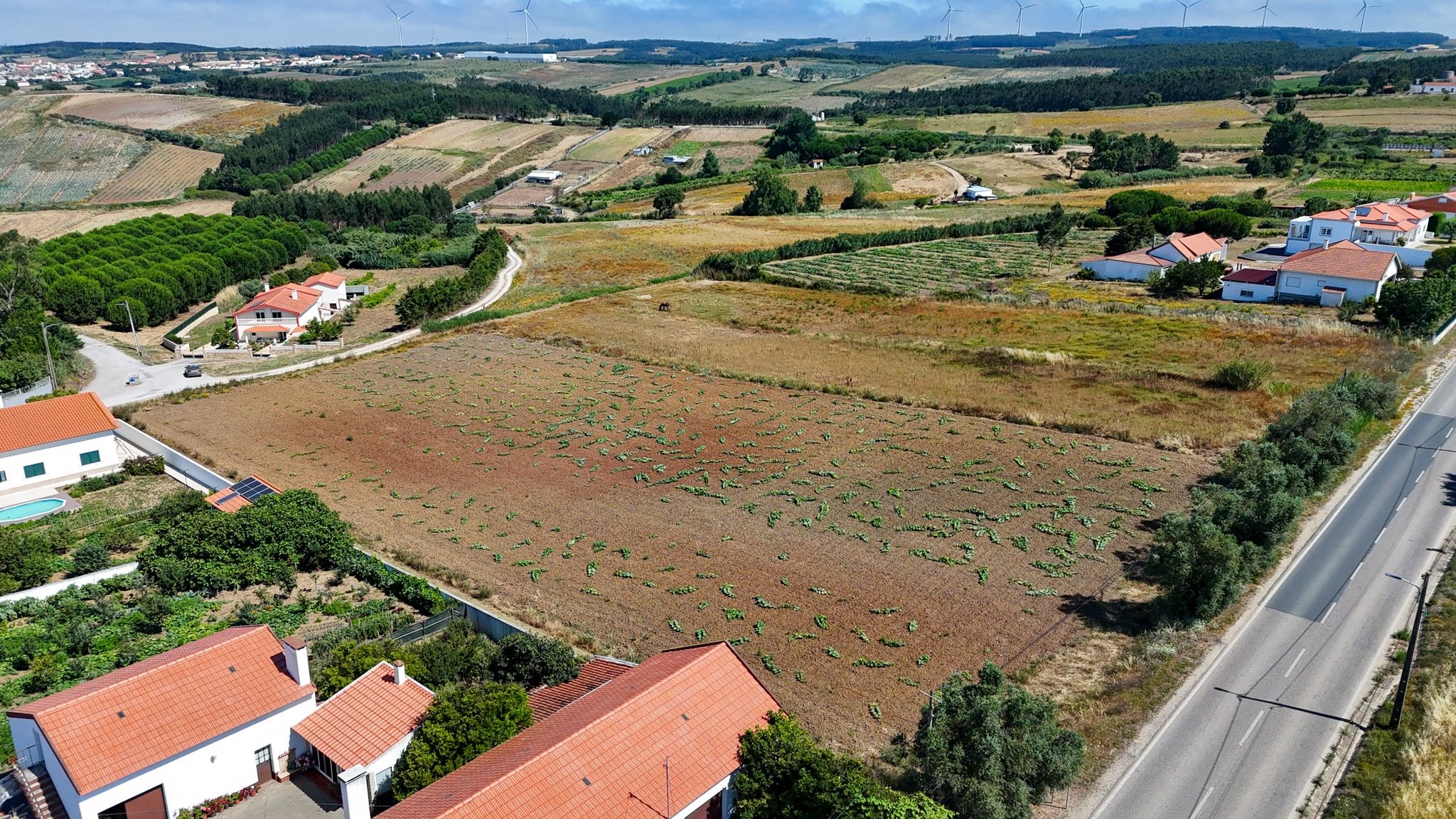 Terreno