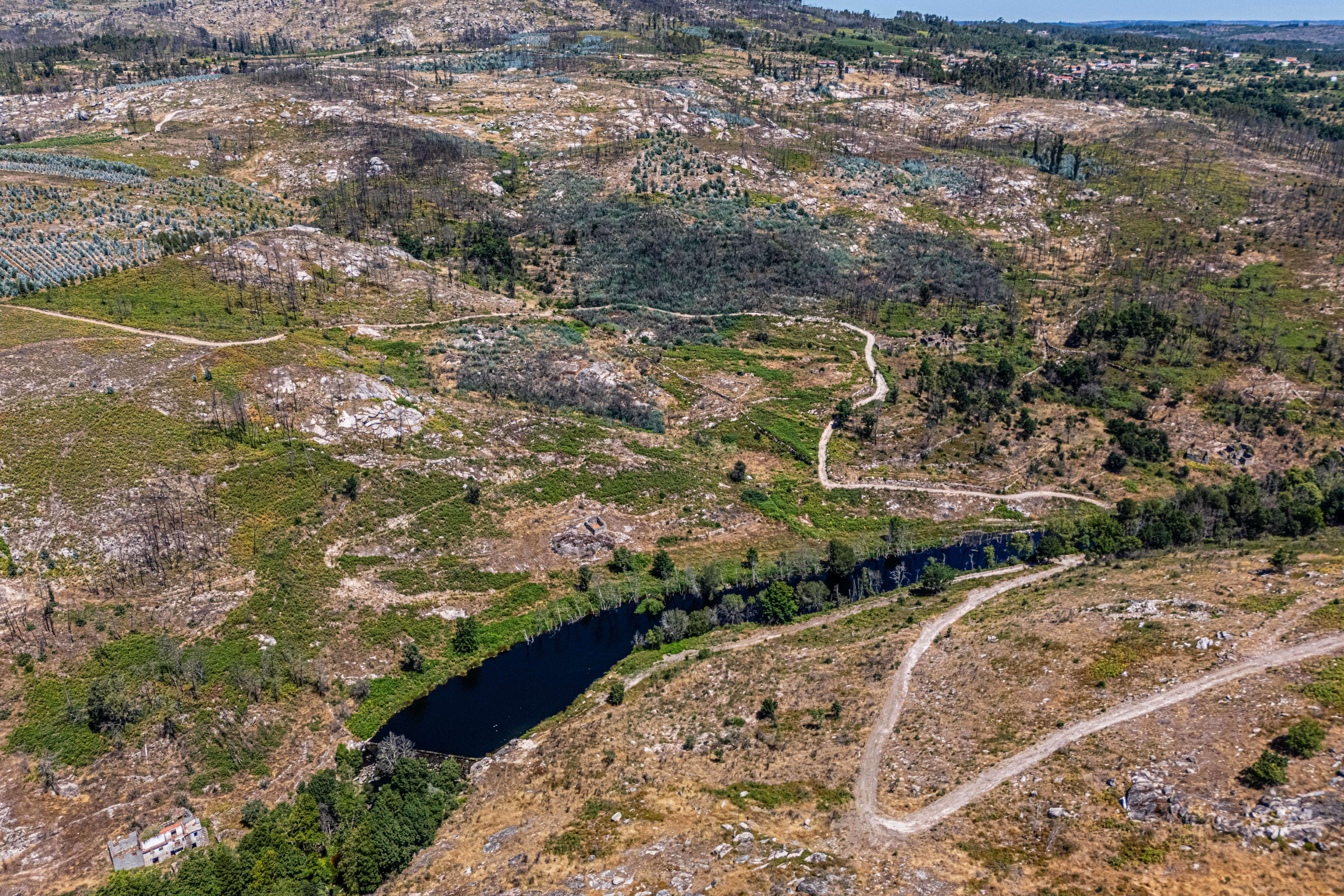 Terreno