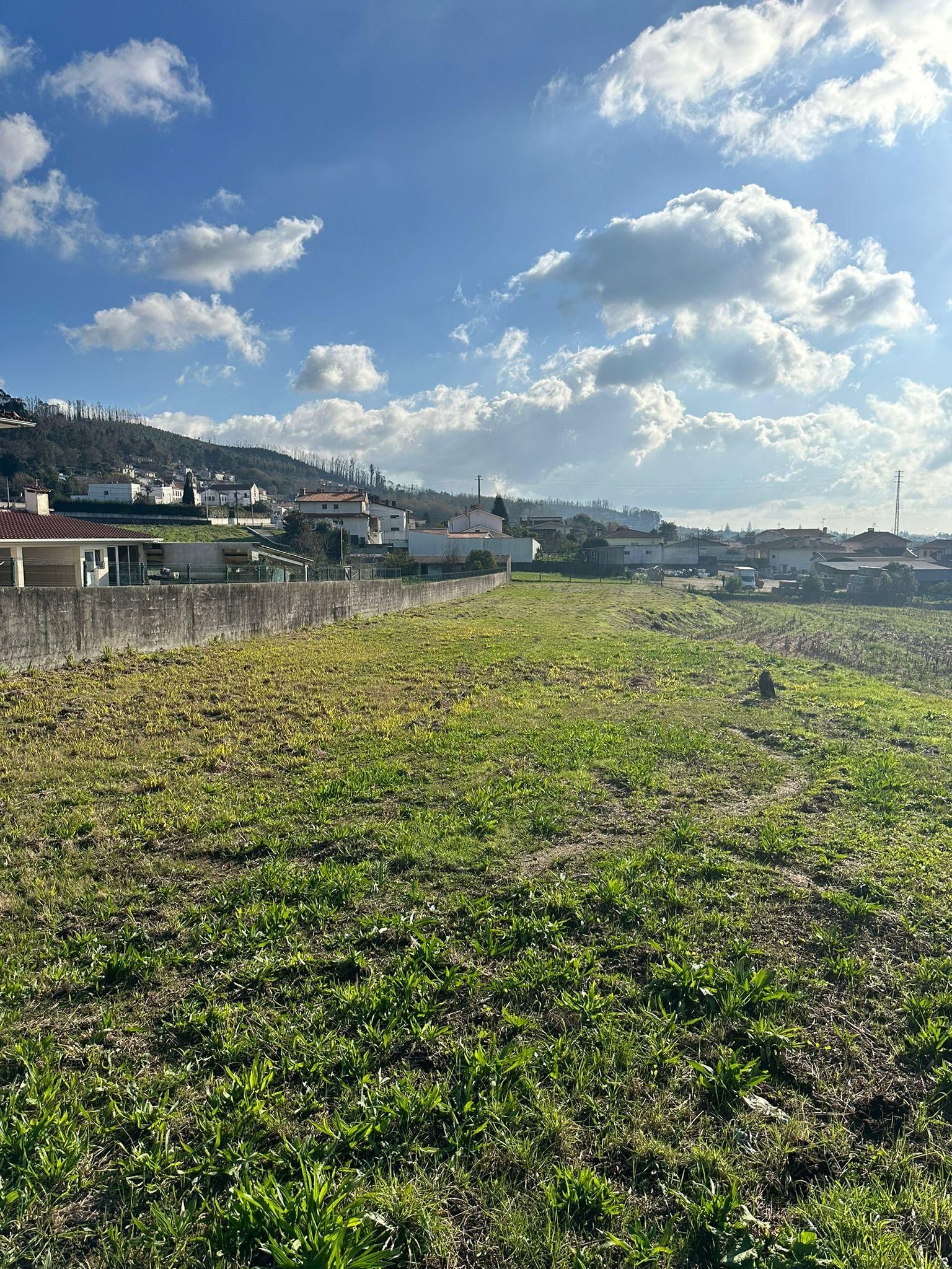 Terreno