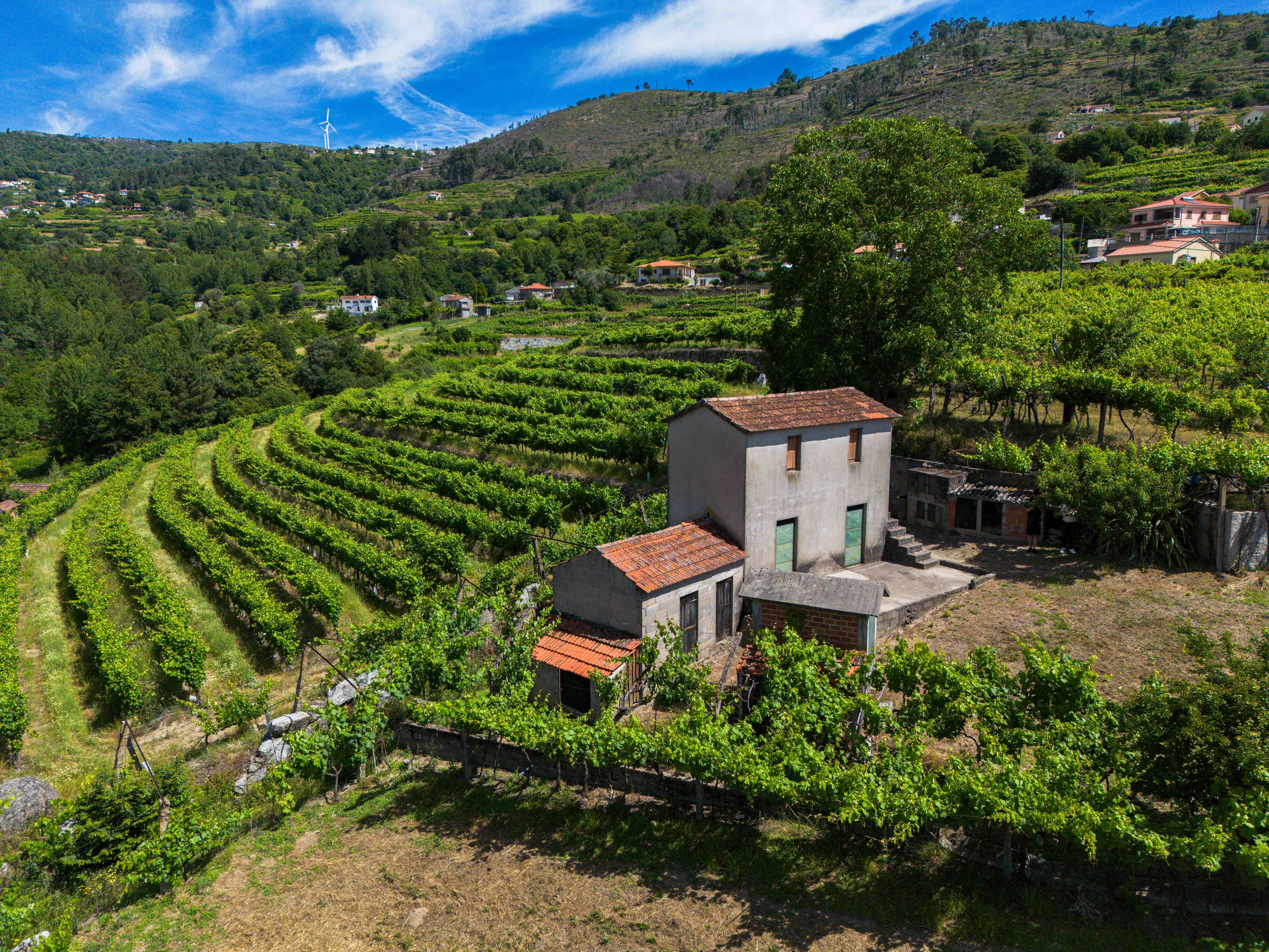 Terreno