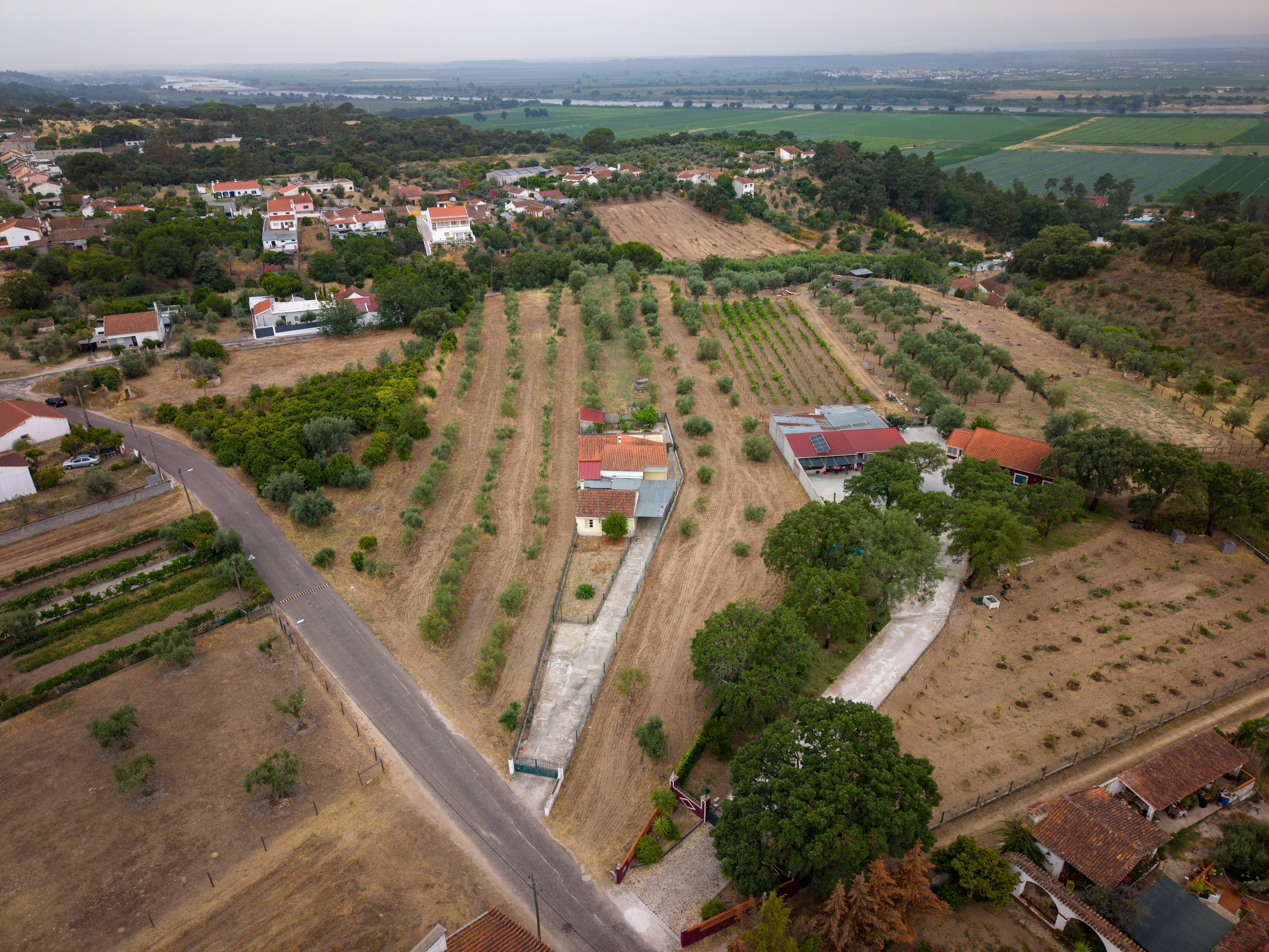 Terreno