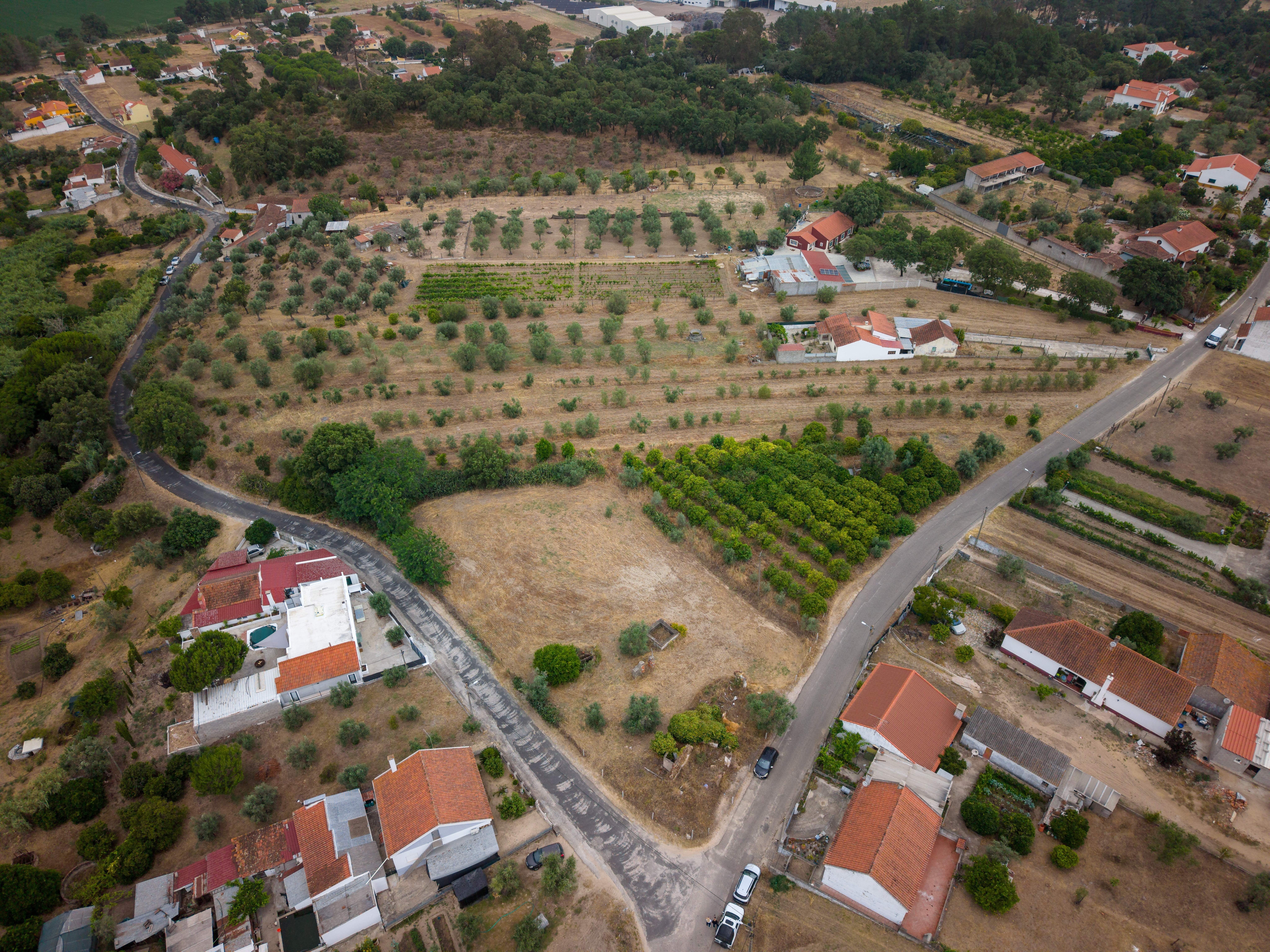 Terreno