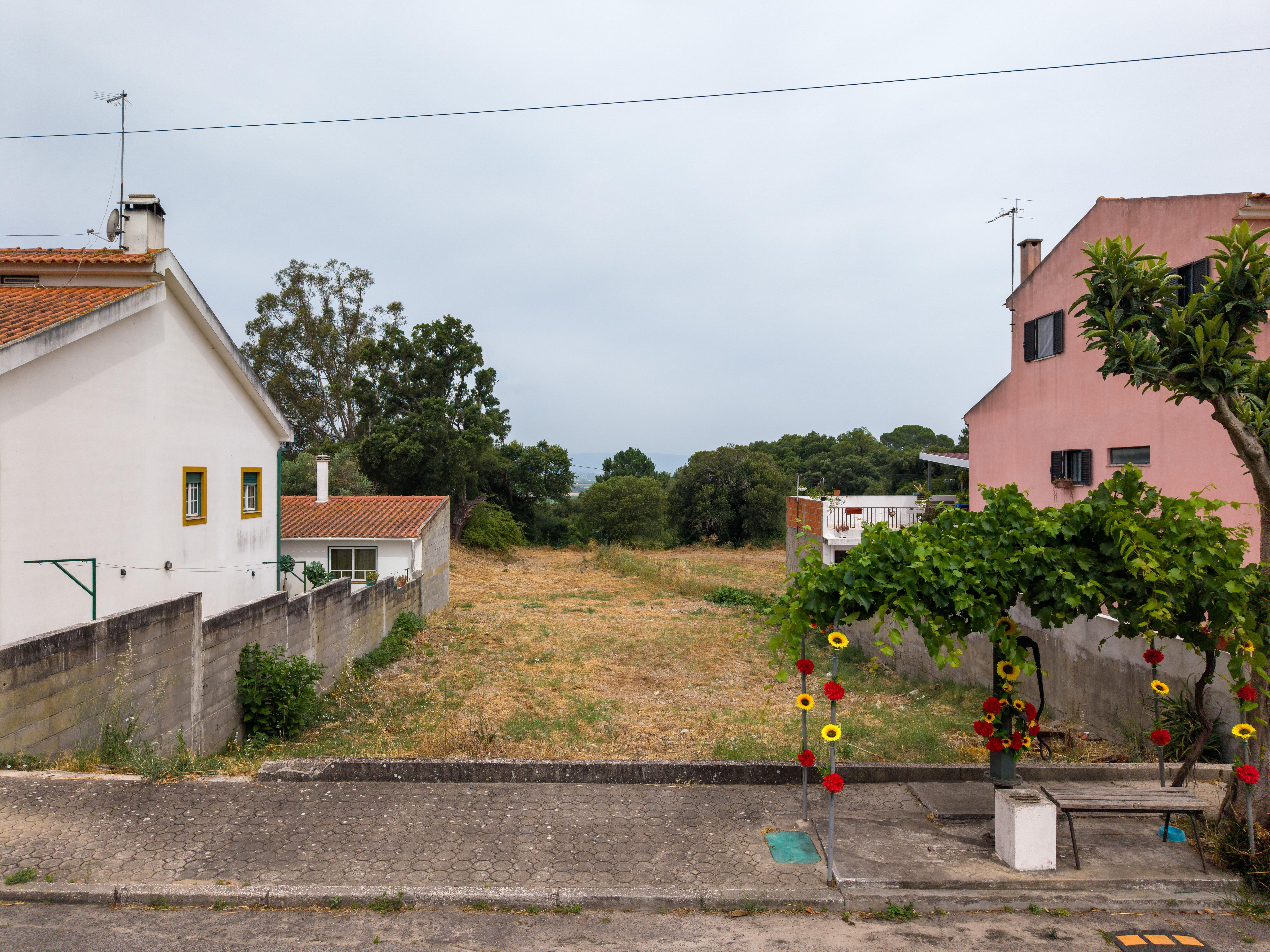 Terreno