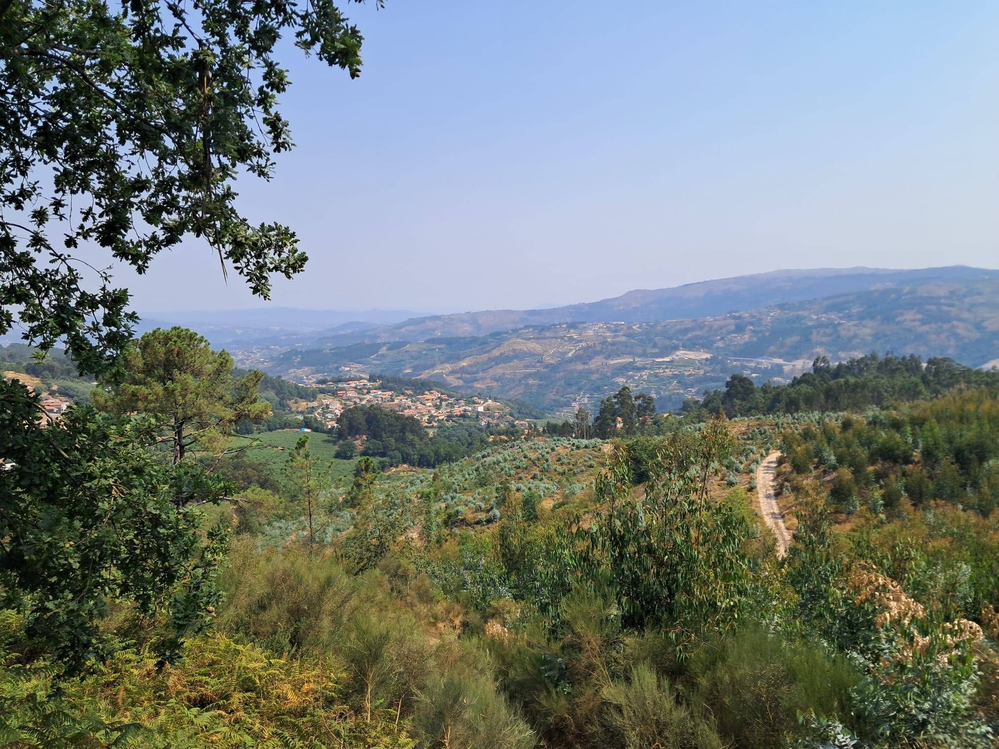 Terreno