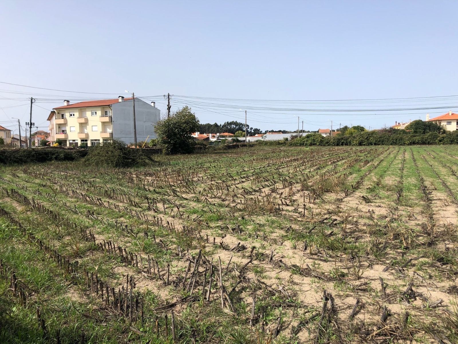 Terreno