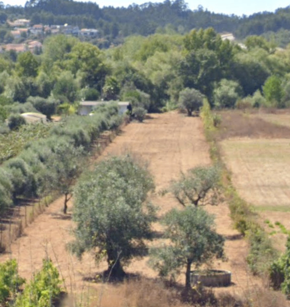 Terreno
