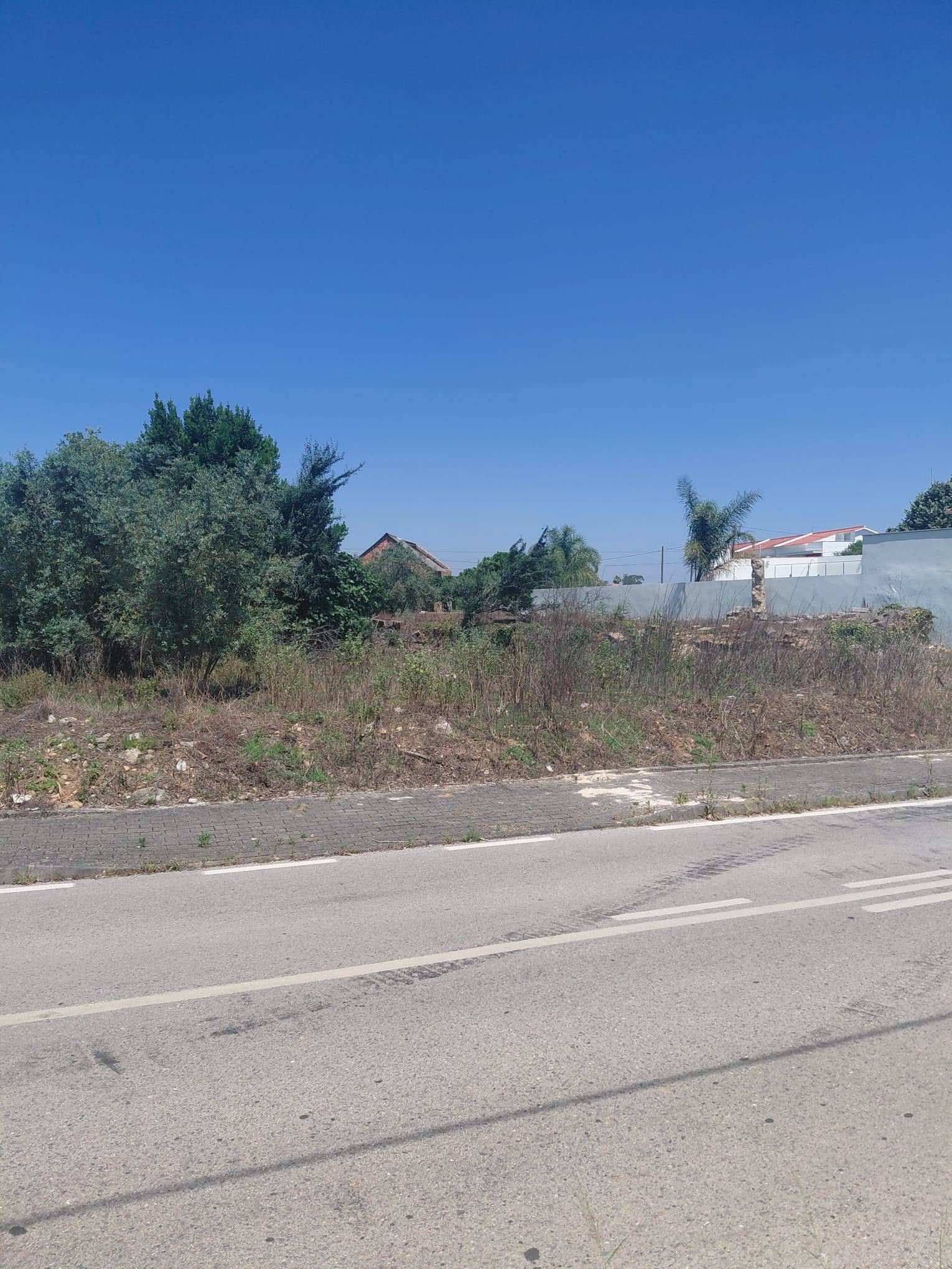 Terreno