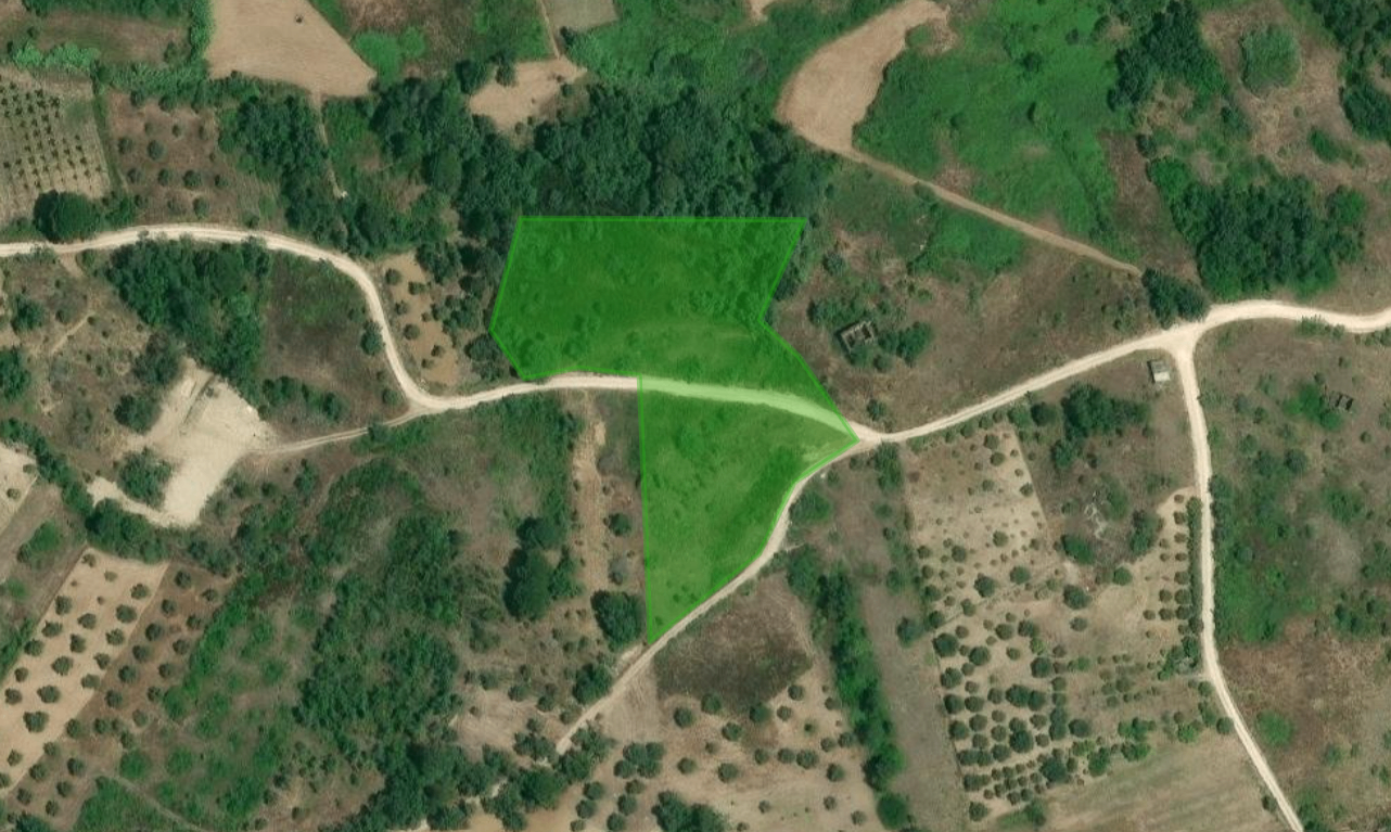 Terreno