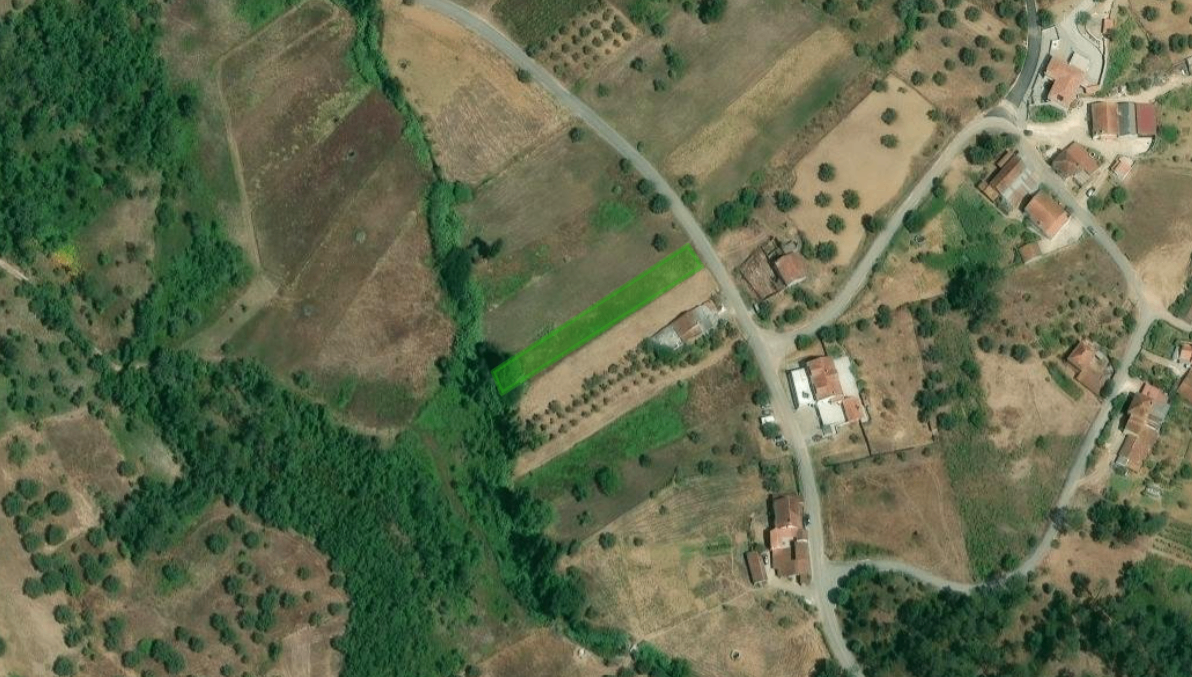 Terreno